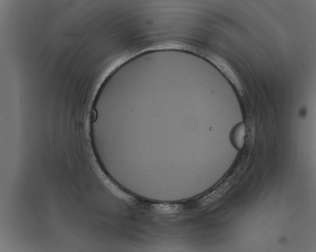 X0000094230805200711241743