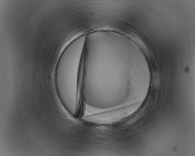 X0000094230806200711241743