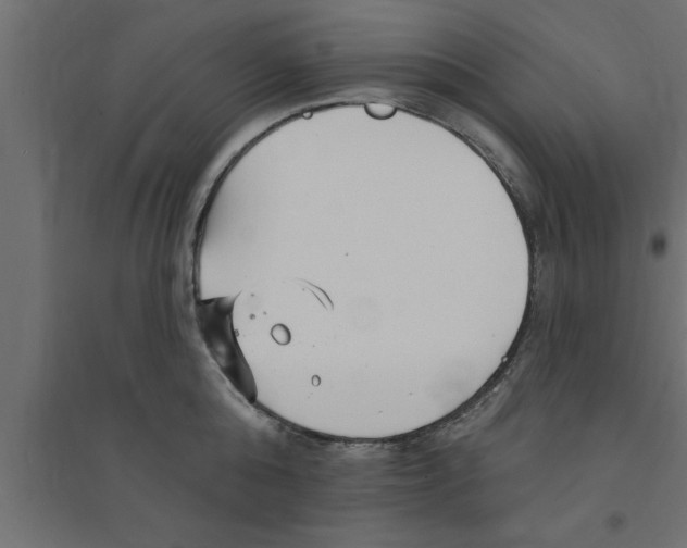 X0000094230808200711241743