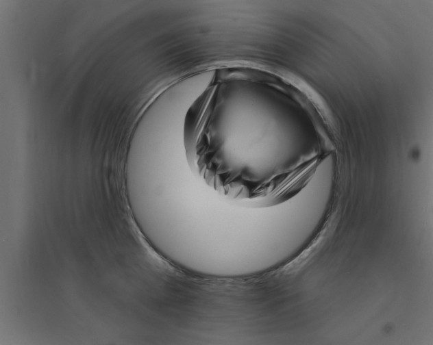 X0000094230809200711241743