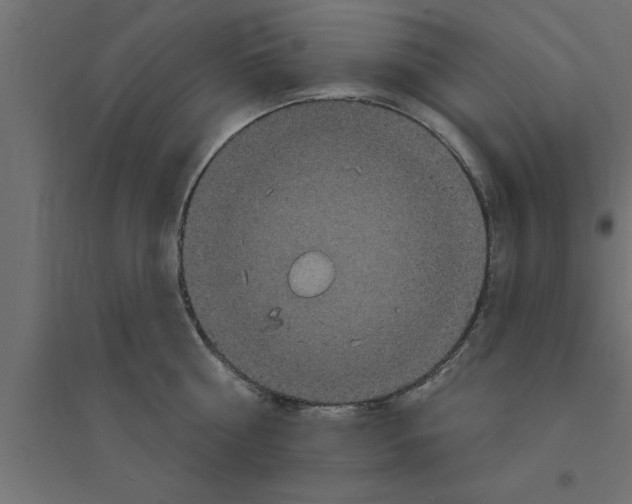 X0000094230810200711241743