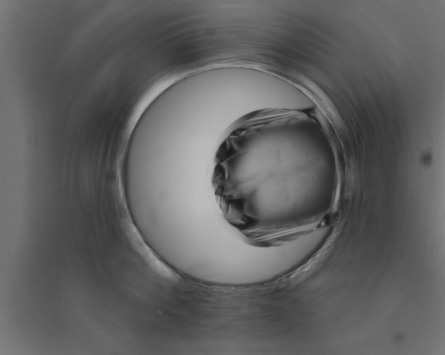 X0000094230812200711241743