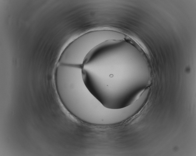 X0000094230813200711241743