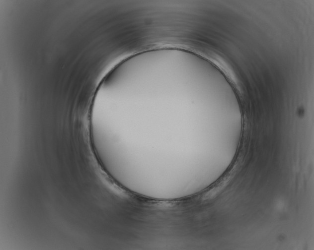 X0000094230814200711241743