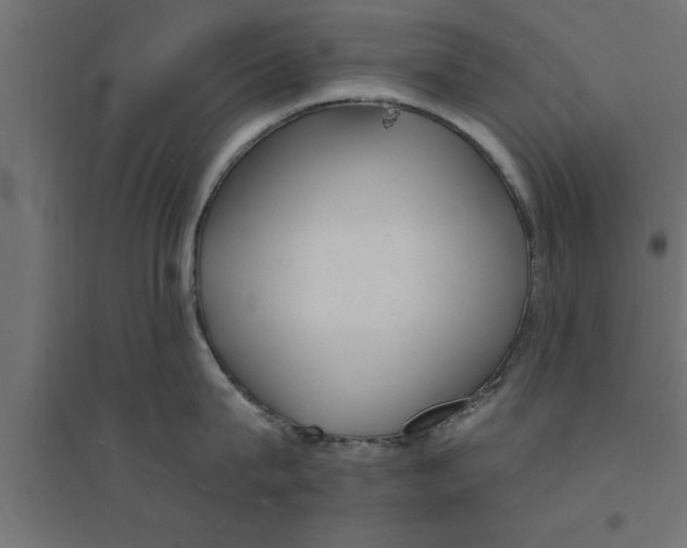 X0000094230815200711241743