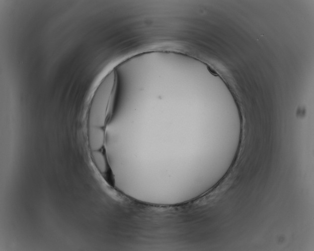 X0000094230816200711241743