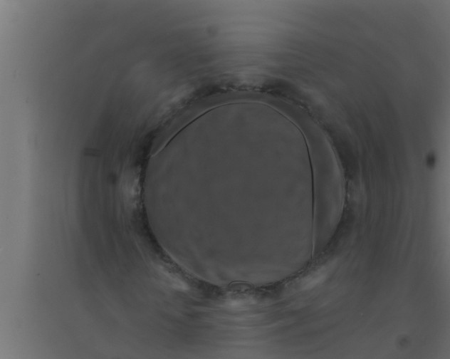 X0000094230818200711241742