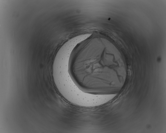 X0000094230820200711241742