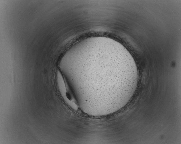 X0000094230821200711241742