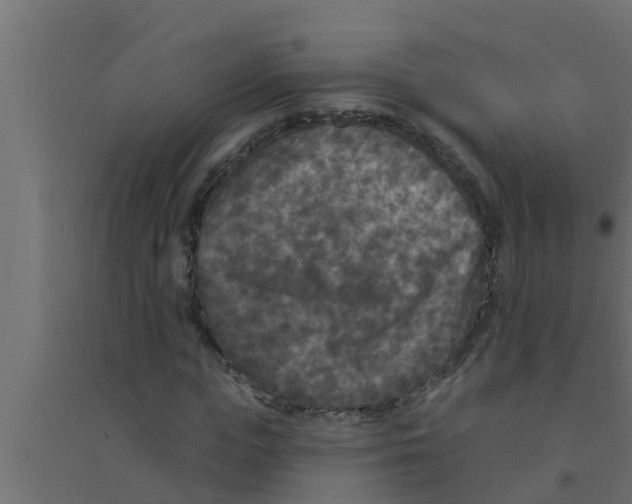 X0000094230823200711241742