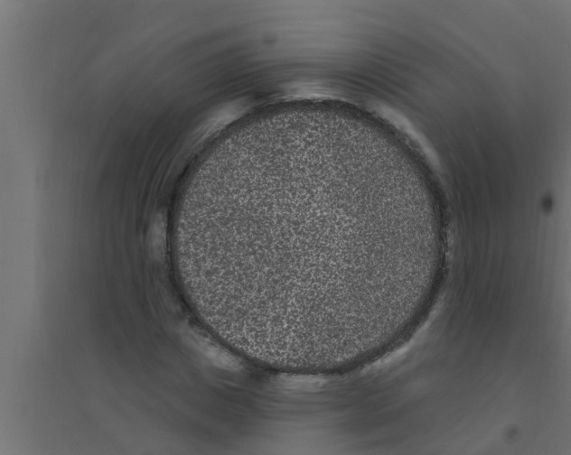 X0000094230825200711241742