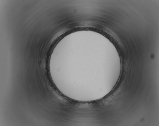 X0000094230826200711241742