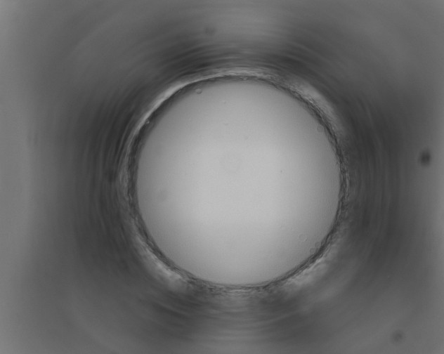 X0000094230828200711241743