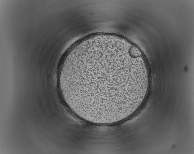 X0000094230829200711241743