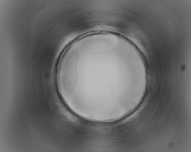 X0000094230832200711241743