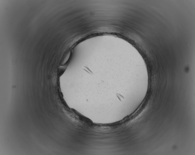 X0000094230833200711241743