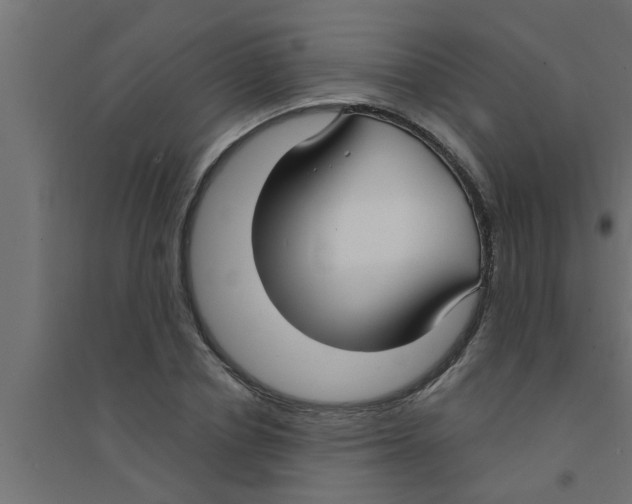 X0000094230834200711241743