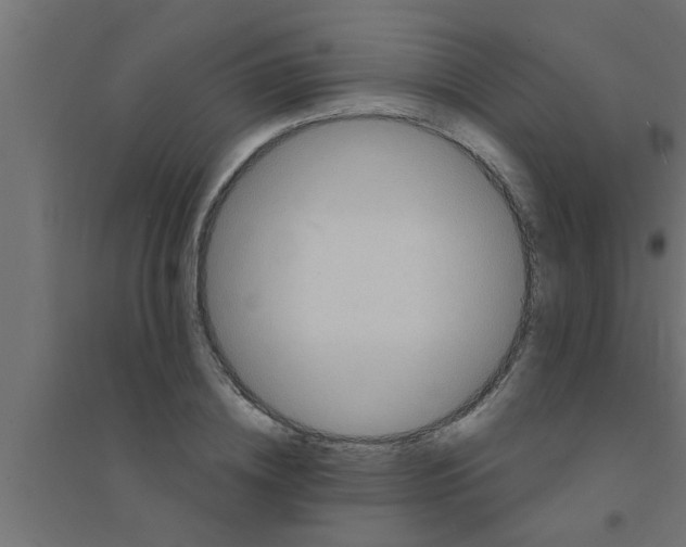 X0000094230836200711241743