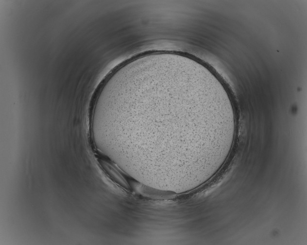 X0000094230837200711241743