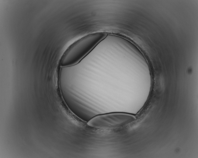 X0000094230838200711241743