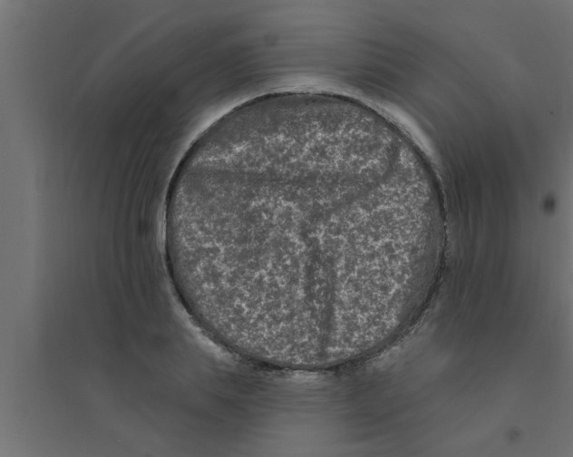 X0000094230839200711241743