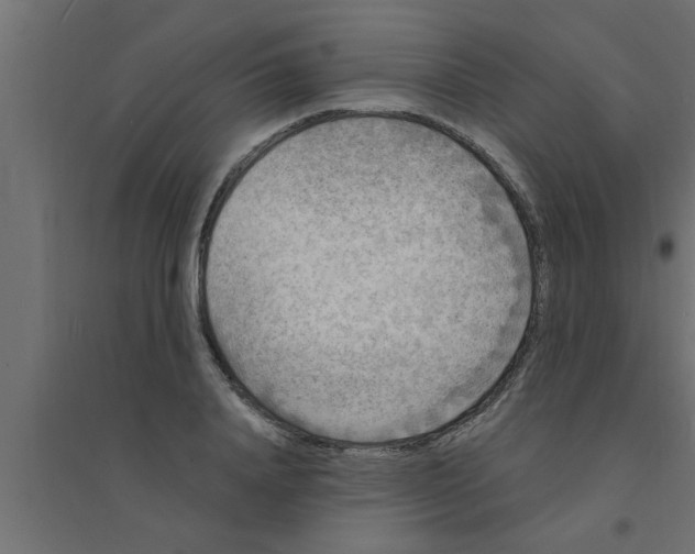 X0000094230840200711241743