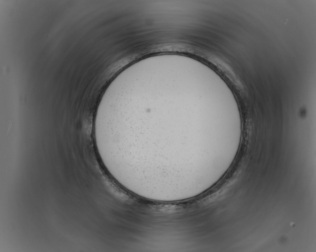 X0000094230841200711241743