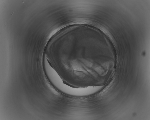 X0000094230842200711241743