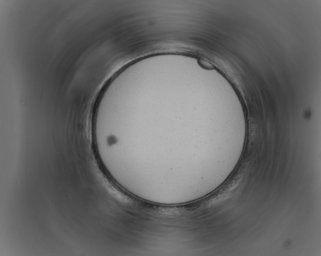 X0000094230843200711241743