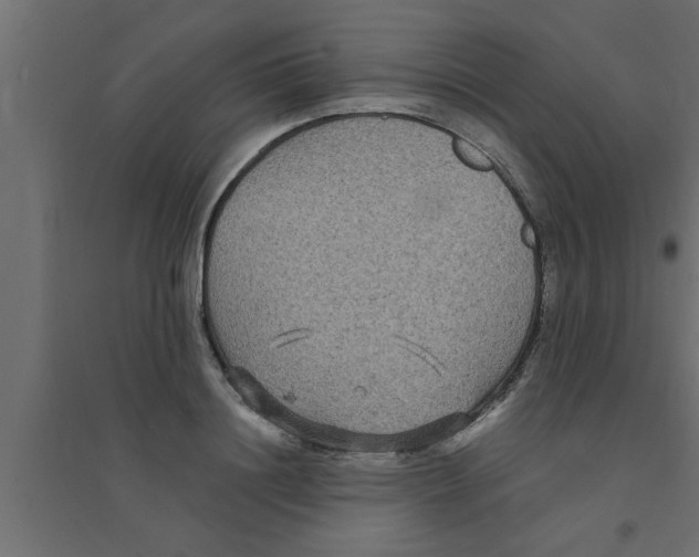 X0000094230844200711241743