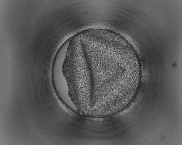 X0000094230845200711241743
