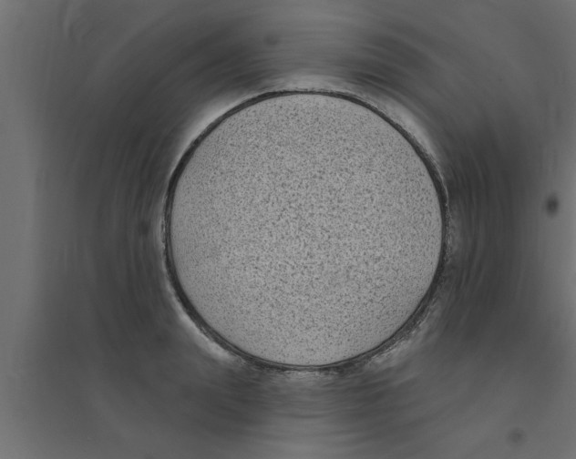 X0000094230847200711241743