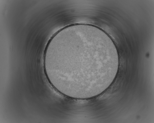 X0000094230848200711241743