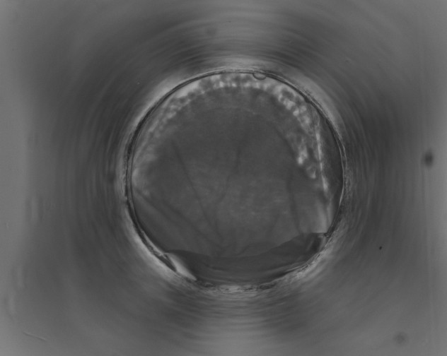 X0000094230851200711241743