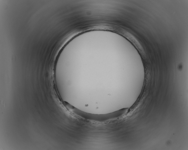X0000094230852200711241743