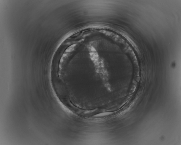 X0000094230853200711241743