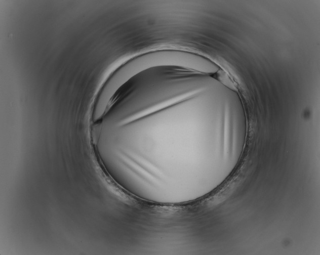 X0000094230854200711241743