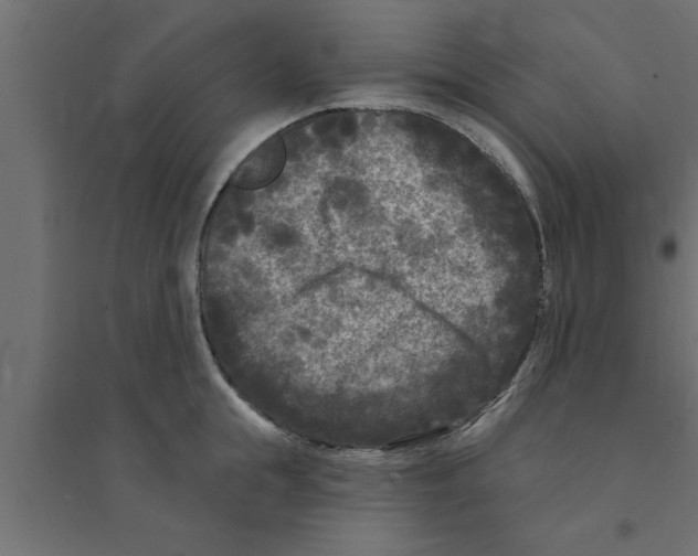 X0000094230855200711241743