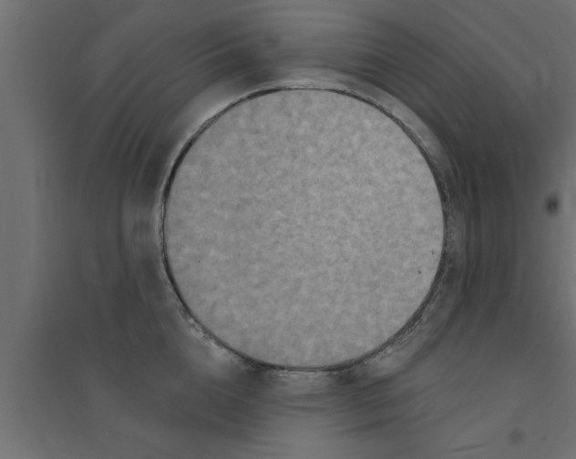 X0000094230856200711241743