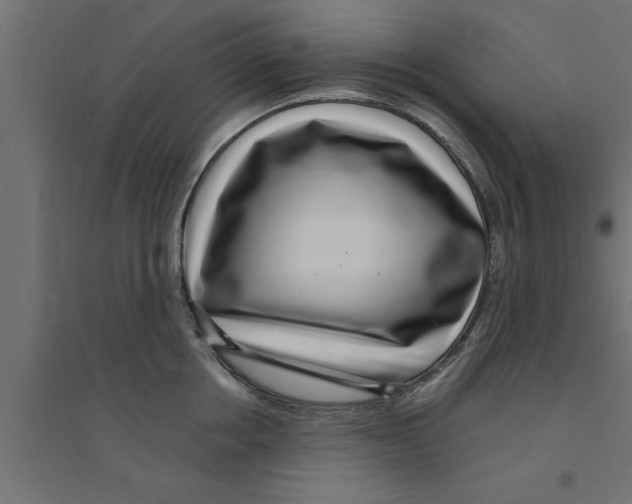 X0000094230858200711241743