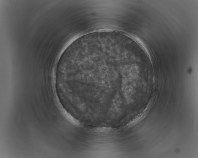 X0000094230859200711241743