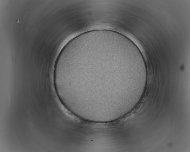 X0000094230861200711241743