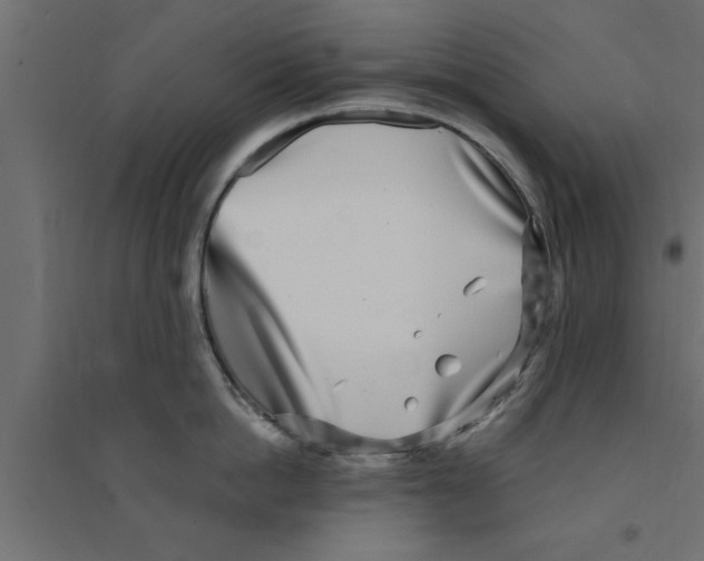 X0000094230862200711241743