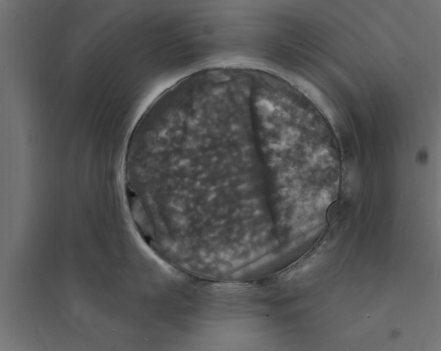 X0000094230863200711241743