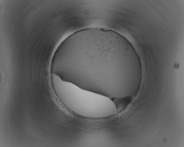 X0000094230864200711241743