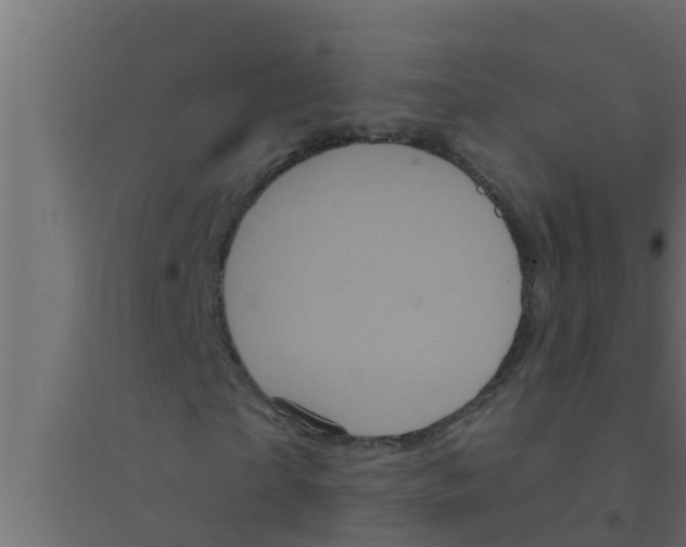 X0000094230865200711241742