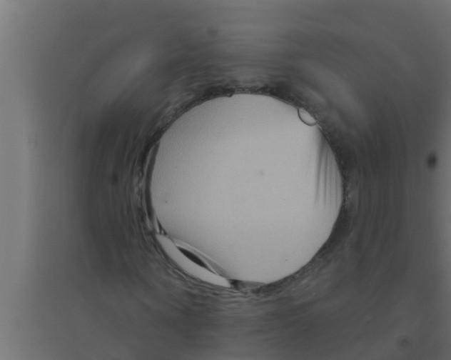 X0000094230866200711241742