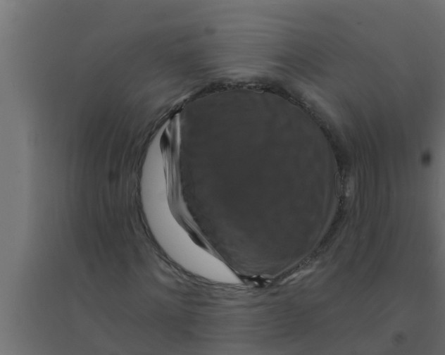 X0000094230868200711241742