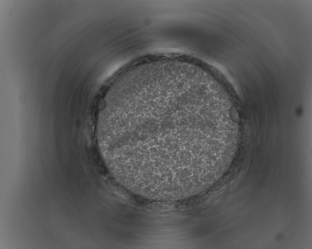 X0000094230871200711241742