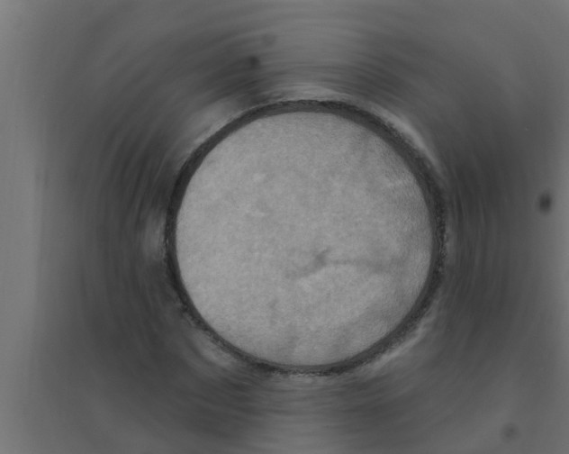 X0000094230873200711241742